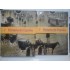 Historia de Espana( 2 vol )- Jose A. Hernandez; Flora Ayuso; Marina Requero